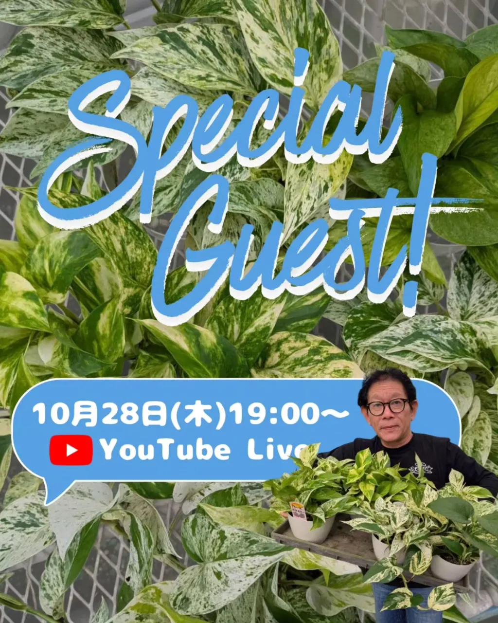 🌿 Special Guest LIVE開催！！