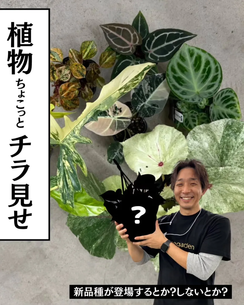 🌿 Special Guest LIVE開催！！