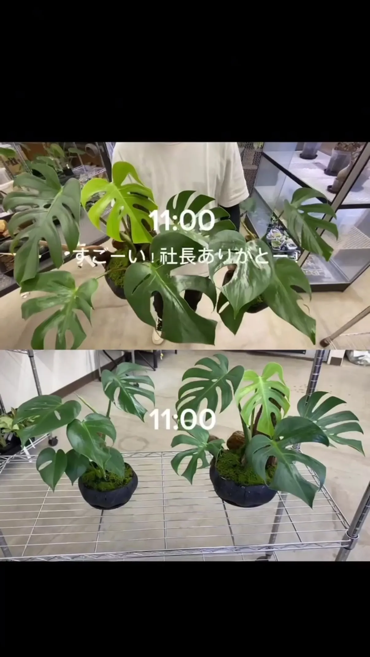 【Beegarden Blog🌱‬‪】