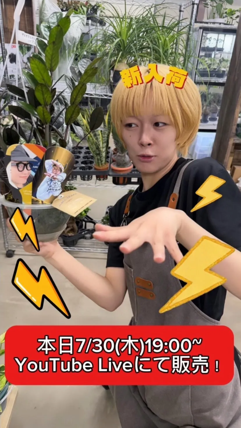 【7/30（木）19:00〜】今週は雑貨&植物ライブ！