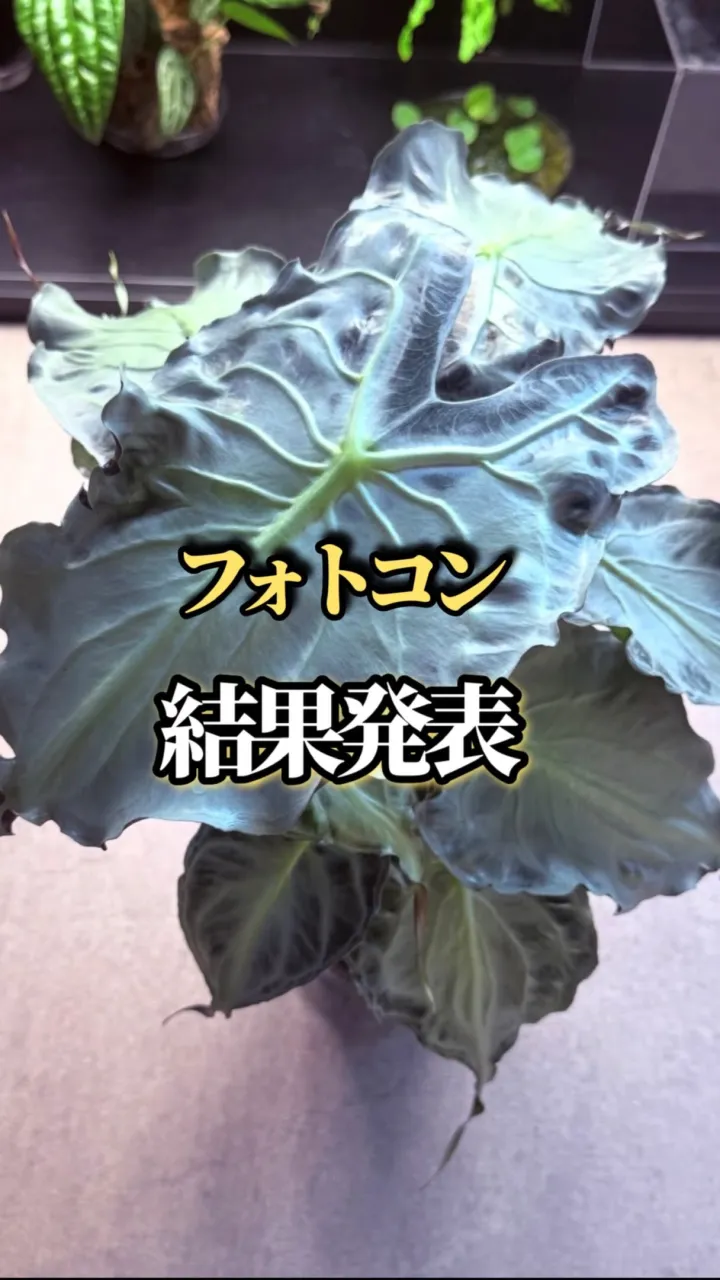 フォトコンテストありがとうございました！🐝
