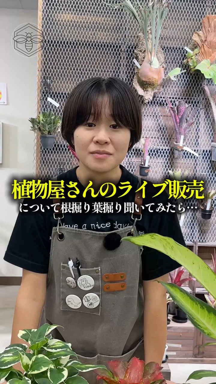 🌿 YouTube LIVEで植物を買うって難しそう…？