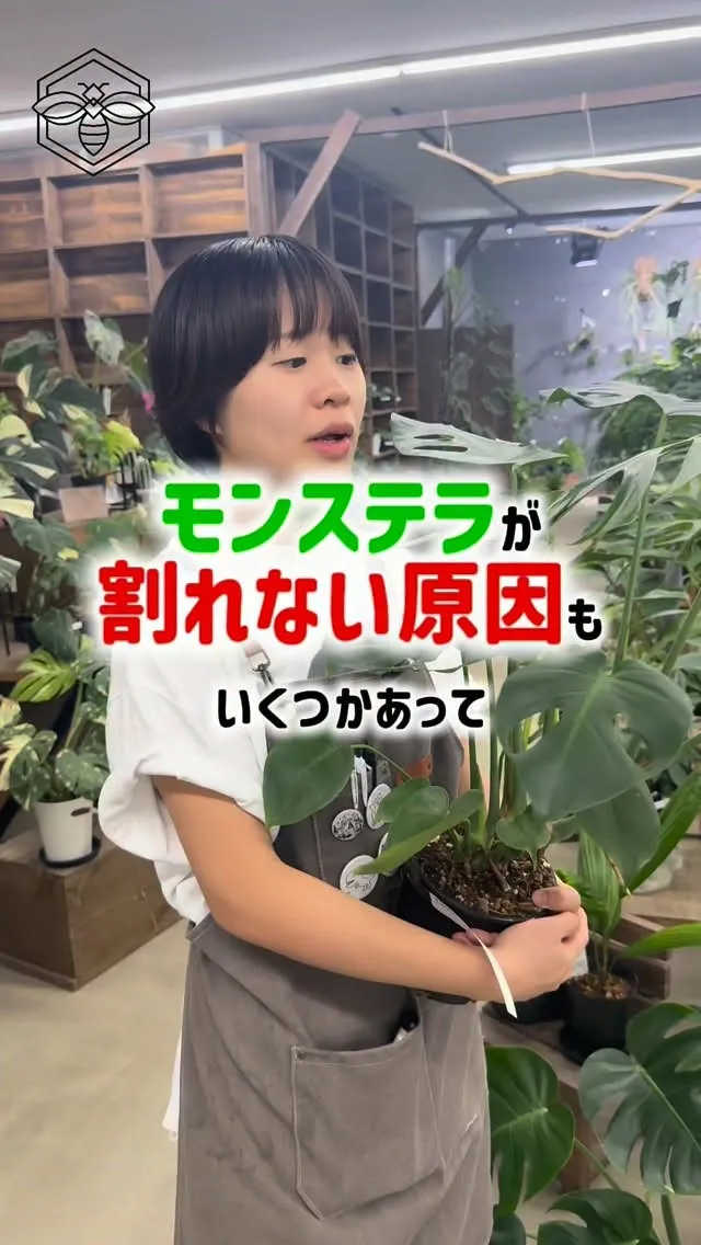🌿 お客様から聞かれる質問！